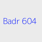 Agence immobiliere Badr 604